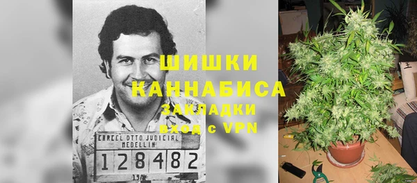 дживик Аркадак