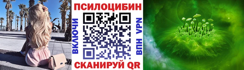 где купить наркоту  Боготол  Галлюциногенные грибы Magic Shrooms 