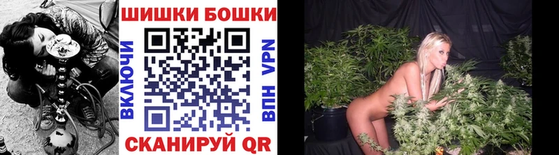Каннабис планчик  mega   Боготол  где найти наркотики 